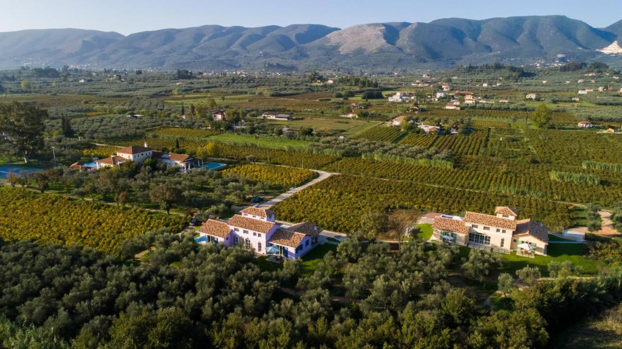 Aneli Luxury Villas - Villa Semeli Áyios Kírikos Extérieur photo