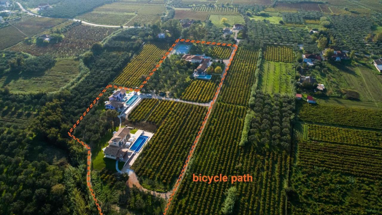 Aneli Luxury Villas - Villa Semeli Áyios Kírikos Extérieur photo